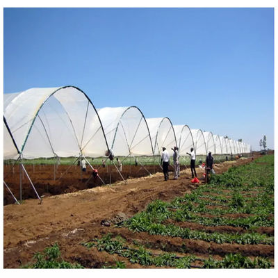 Low Cost Plastic Film Rain Shelter Greenhouse for Berry Planting with Large Size Customizable Dimensions