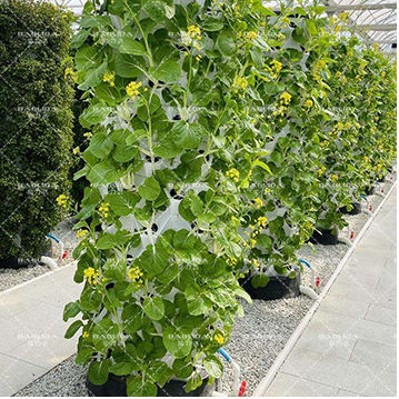 30L 6段 48穴 エアロポニックス 栽培タワー 垂直水耕栽培システム イチゴ用