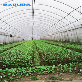 野菜成長のプラスチック フィルムの温室農業に育つすべての季節