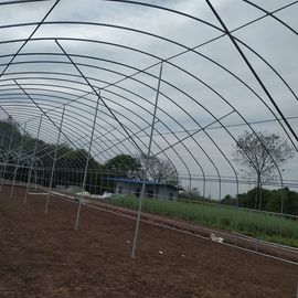 野菜のフルーツのためのポリエチレン フィルムのSinglespanの成長の温室