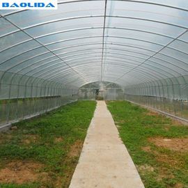 単一のスパンのプラスチック トンネルの温室のポリエチレンの農場の農業サポート