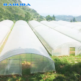 熱帯トンネルのプラスチック温室/カスタマイズされた農業の温室