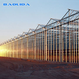 フェンローのゴシック様式 タイプ温室の農業の安定した構造は容易に集まっていた
