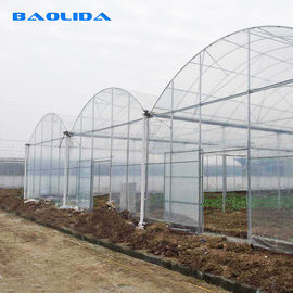強い構造の頑丈なプラスチック温室/プラスチック トマトの温室