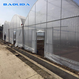 熱い電流を通された鋼鉄フレームワークが付いている農業のプラスチックシートの温室