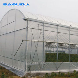 プラスチック透明な多スパンの温室の農業の横窓サポート