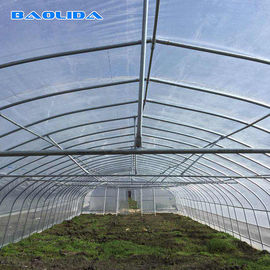 サンプル トンネルのプラスチック温室/プラスチック野菜単一のスパンの温室