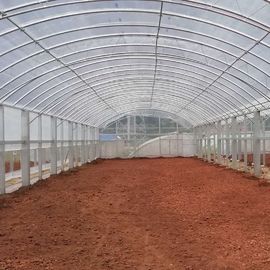 二重フィルムの倍は温室の野菜栽培2.8mのトンネルのプラスチック温室をアーチ形にする