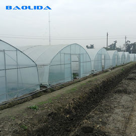 農業の標準のプラスチック フィルム8m 60mのPeのフィルムの単一のスパンの温室を植える植物