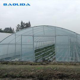 農業の標準のプラスチック フィルム8m 60mのPeのフィルムの単一のスパンの温室を植える植物