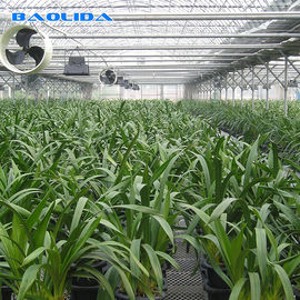 自動制御のポリエチレン フィルムの紫外線保護植物の成長のための多スパンの温室