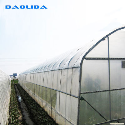 トンネルのプラスチック温室を育てる200ミクロンのPeのフィルムの温室の農業のトマト