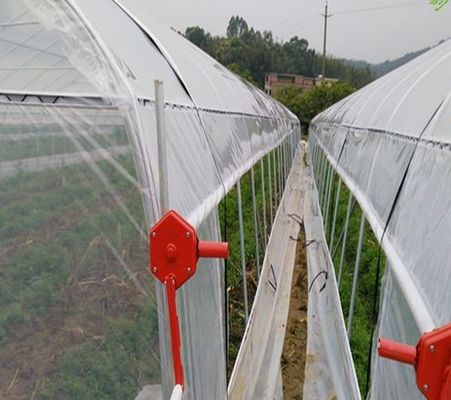 電流を通された鋼管の単一のスパンの側面の換気のプラスチック フィルムのトマトの温室