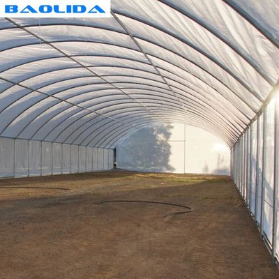 8mの幅200ミクロンのフィルムの農業60mの反錆のトンネルのプラスチック温室