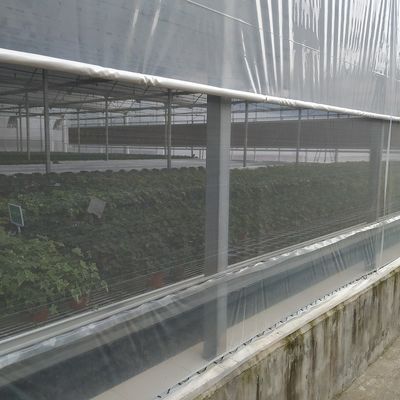 野菜ポリエチレンのプラスチックシートの温室によって電流を通される鉄骨フレーム