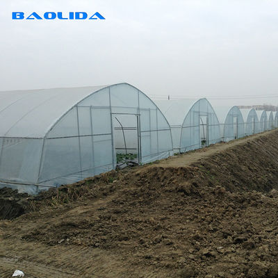 野菜栽培のための農業の8mの幅のPEのフィルムの単一スパンのトンネルのプラスチック温室