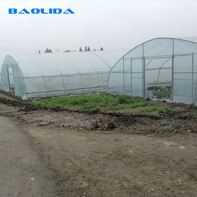 野菜栽培のための農業の8mの幅のPEのフィルムの単一スパンのトンネルのプラスチック温室