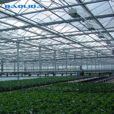 トマトの植わることのための農業の多スパンのフェンローのガラス温室