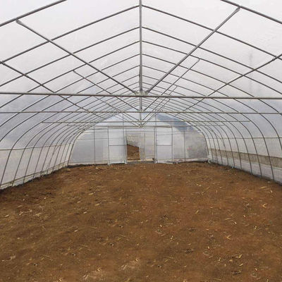 幅8mは9m 10m野菜栽培のためのプラスチック温室にトンネルを掘る