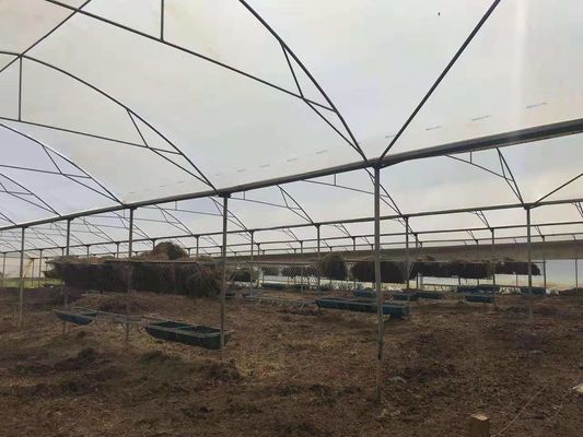 養鶏場は雨が降ることから保護するのに農業のプラスチック暖かい温室を使用した