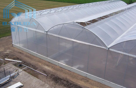 上/側面の換気を用いるMultispanの温室の冷却装置を育てる農業の植物