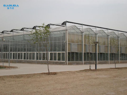 植物のエアコンの大きいガラス温室は屋外の自動制御をカスタマイズした