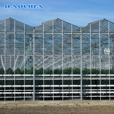 植物のエアコンの大きいガラス温室は屋外の自動制御をカスタマイズした