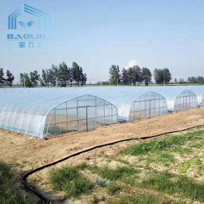 トンネルの野菜栽培の農業の耕作のための単一のスパンの温室