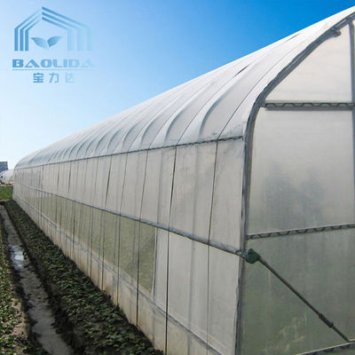 トンネルの野菜栽培の農業の耕作のための単一のスパンの温室