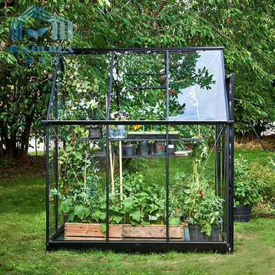 ヒマワリのガラス シートと園芸小型の温室のテント