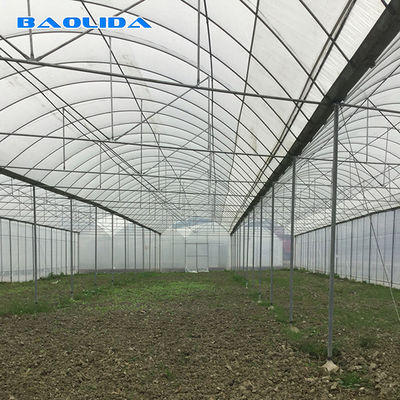 農業の商業産業プラスチック フィルムのトマトはシステム150マイクロの多スパンの温室を育てる