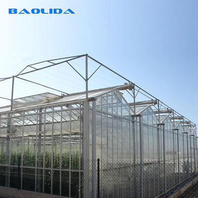 水耕栽培のポリエチレン フィルムの温室のいちごのMultispanの温室