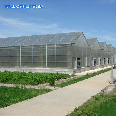 水耕栽培のポリエチレン フィルムの温室のいちごのMultispanの温室