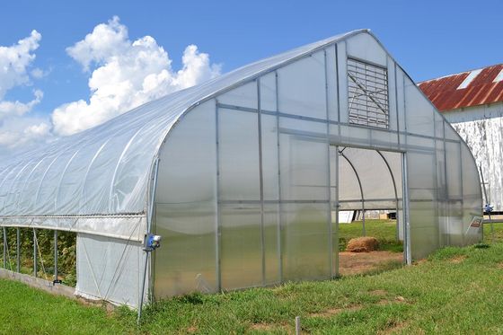 農業 キノコ管理 温室 野菜 果物 単段温室