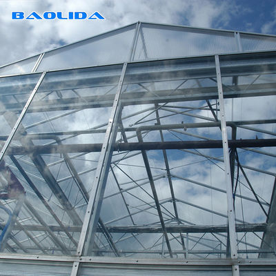 Gaivalnizedの鋼管のガラス多スパンの温室のフェンローの頑丈なタイプ温室