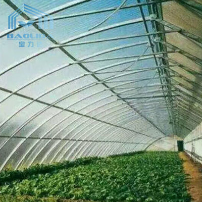 フィリピンはキットの単一スパンのいちごの温室のトンネルのプラスチック温室を組立て式に作った