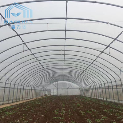 潅漑およびHydroponic成長するシステムが付いているSinglespanのトンネルの温室の耕作
