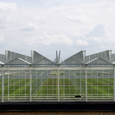 庭の冬カバーきのこの太陽ガラス温室の多スパンのフェンローのタイプ温室