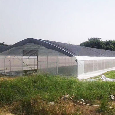高力農業の多トンネルのトマトの温室5*15m 17*50ft