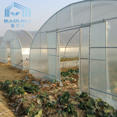 農業の植物の円形のトンネルの単一スパンの側面の換気のトンネルのプラスチック温室