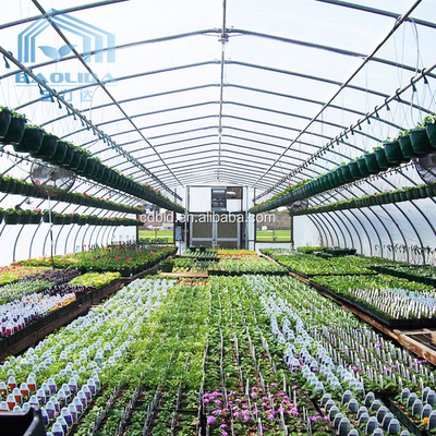 二重アーチの側面の換気の農業のいちごの成長のための単一のスパンの温室