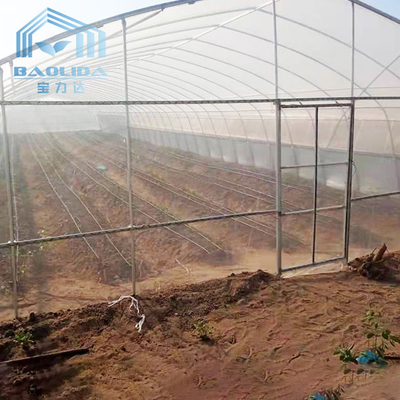 農業のきゅうりの唐辛子のシステムを影で覆うことの単一のスパンのトンネルのプラスチック温室