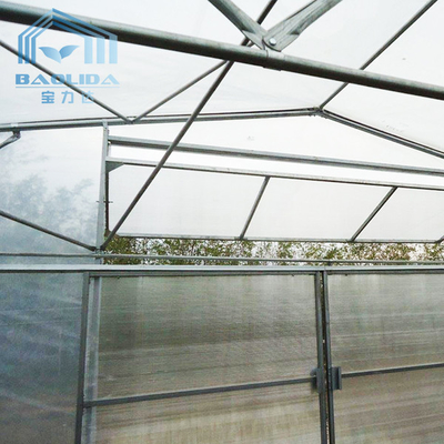システム温室の鋼管の構造のたがのトンネルのプラスチック温室を育てる植物