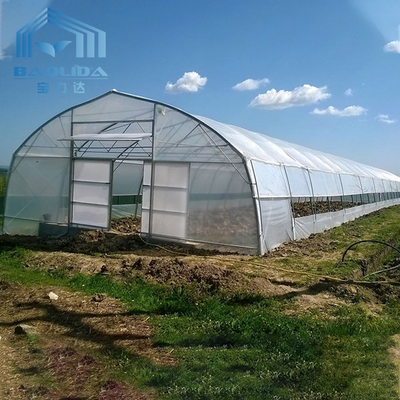 野菜に成長のための農業のプラスチック トンネルの温室のたがの温室