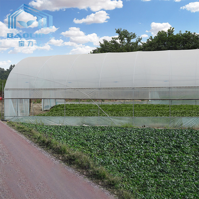 トマトの細流かんがい装置のための多温室の農業のトンネルのプラスチック温室
