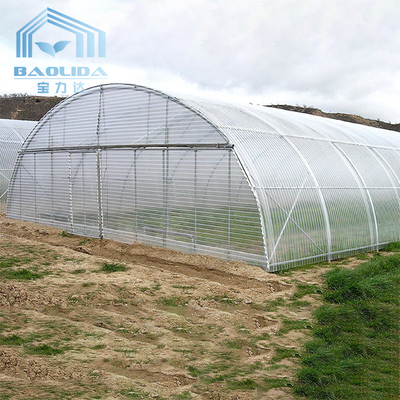 農業のための多トンネルのプラスチック温室を育てるAquaponis