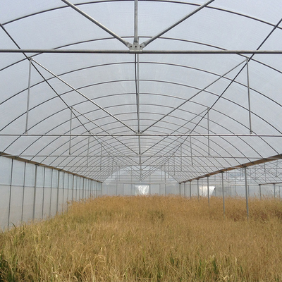 高いトンネルの花成長のための農業の耕作の多スパンの温室