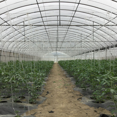 高いトンネルのPeのフィルムのHydroponic多スパンの温室の自動制御の農業