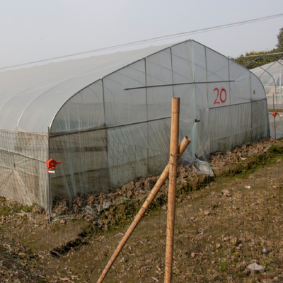 熱帯単一のスパンの透明なプラスチック取除かれた温室の農業のトンネル