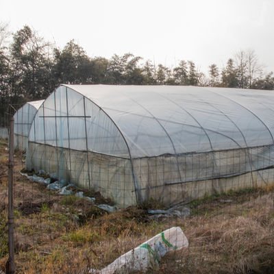 熱帯単一のスパンの透明なプラスチック取除かれた温室の農業のトンネル